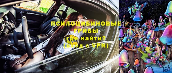герыч Верхний Тагил